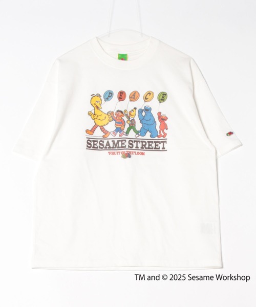 Футболка с принтом, коллекция Sesame Street FRUIT OF THE LOOM, белый
Футболка с принтом, коллекция Sesame Street FRUIT OF THE LOOM, белый