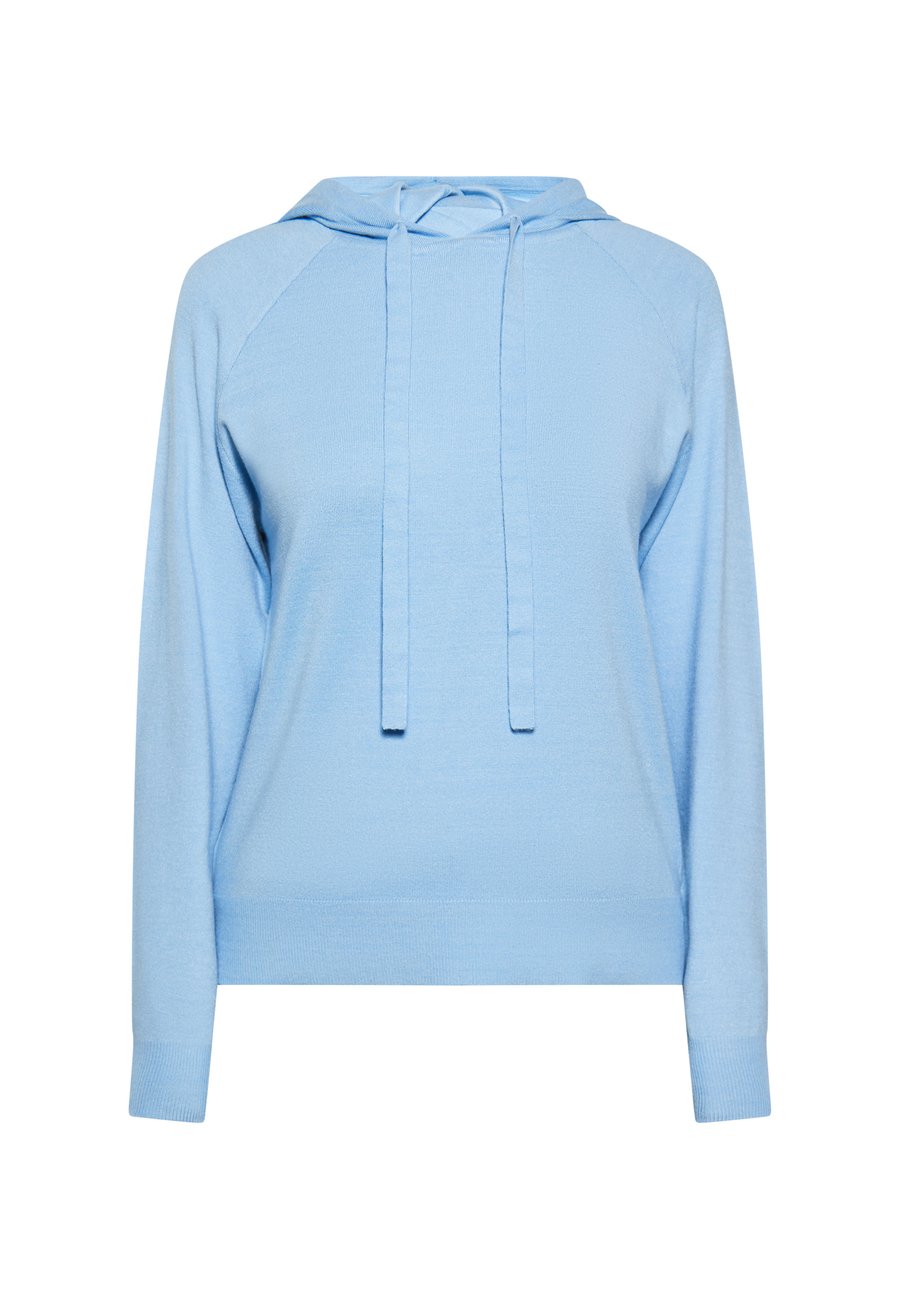 Худи usha CO-BRANDED WITH SANIKA, Hellblau/Light Blue
Худи usha CO-BRANDED WITH SANIKA, Hellblau/Light Blue