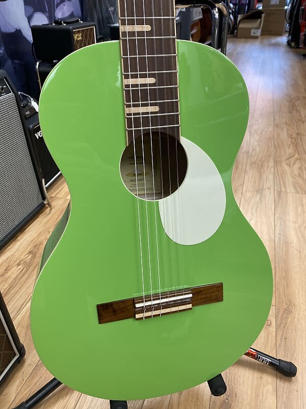 Акустическая гитара Ortega RGA-GAP Green apple
Акустическая гитара Ortega RGA-GAP Green apple