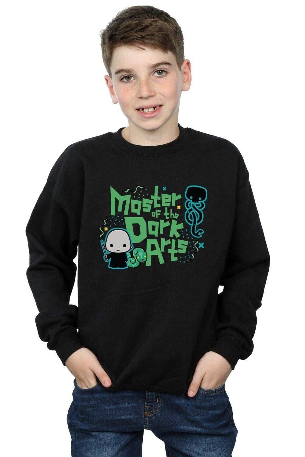 Толстовка Волдеморта Темных Искусств Harry Potter, черный
Толстовка Волдеморта Темных Искусств Harry Potter, черный