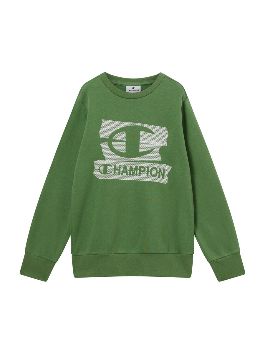 Толстовка Champion Authentic Athletic Apparel, зеленый
Толстовка Champion Authentic Athletic Apparel, зеленый