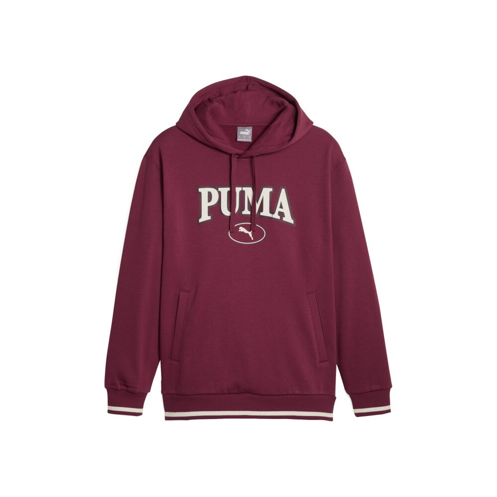 Мужская толстовка Puma, цвет Burgundy
Мужская толстовка Puma, цвет Burgundy