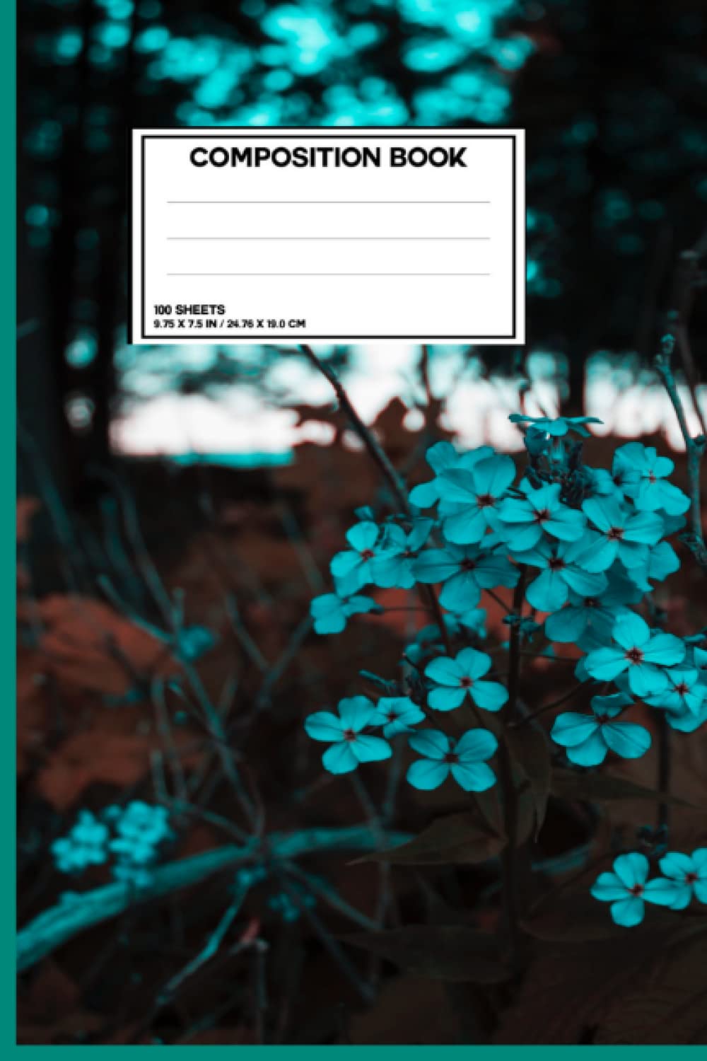 Notebook (Independently published)
Notebook (Independently published)