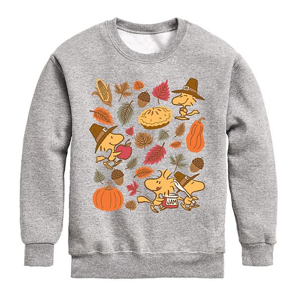 Детский флисовый свитшот Peanuts Woodstock Thanksgiving Licensed Character
Детский флисовый свитшот Peanuts Woodstock Thanksgiving Licensed Character
