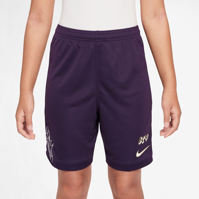 Shorts mbappe km academy25 Nike, мультиколор
Shorts mbappe km academy25 Nike, мультиколор