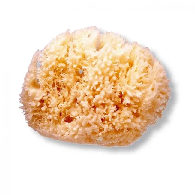 Детская губка Esponja Natural Grande Suavinex, 1 UD 
Детская губка Esponja Natural Grande Suavinex, 1 UD