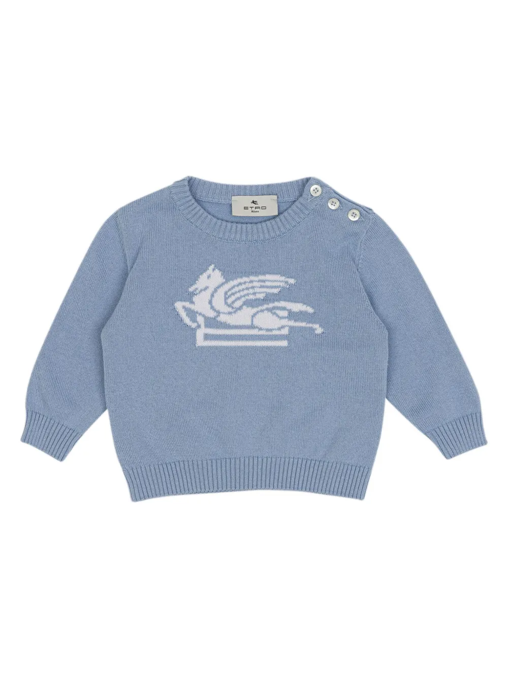 Джемпер Pegaso ETRO KIDS, синий
Джемпер Pegaso ETRO KIDS, синий