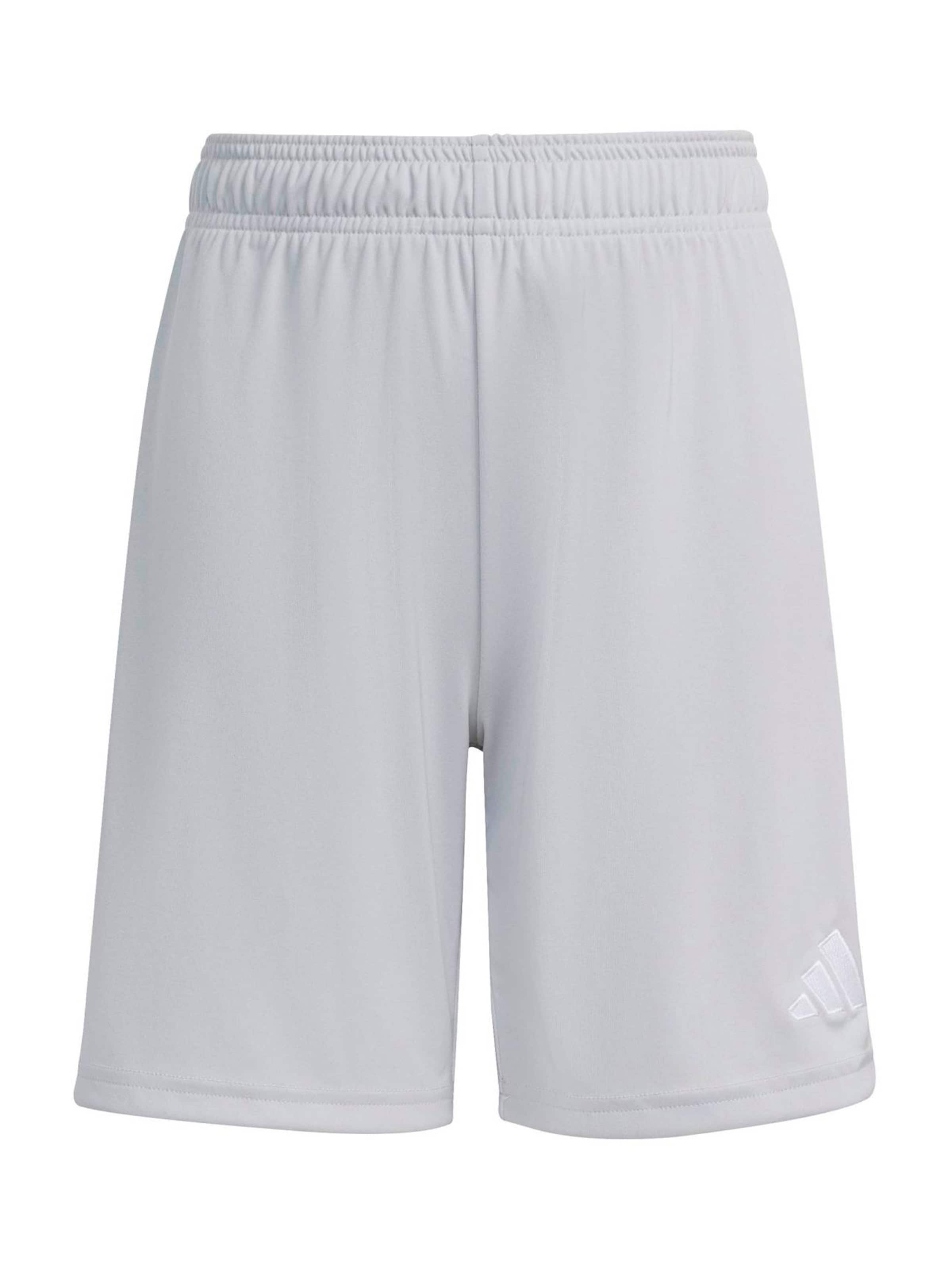 Adidas Performance Шорты для тренировок Regular 'ENT26' в светло-сером цвете
Adidas Performance Шорты для тренировок Regular 'ENT26' в светло-сером цвете