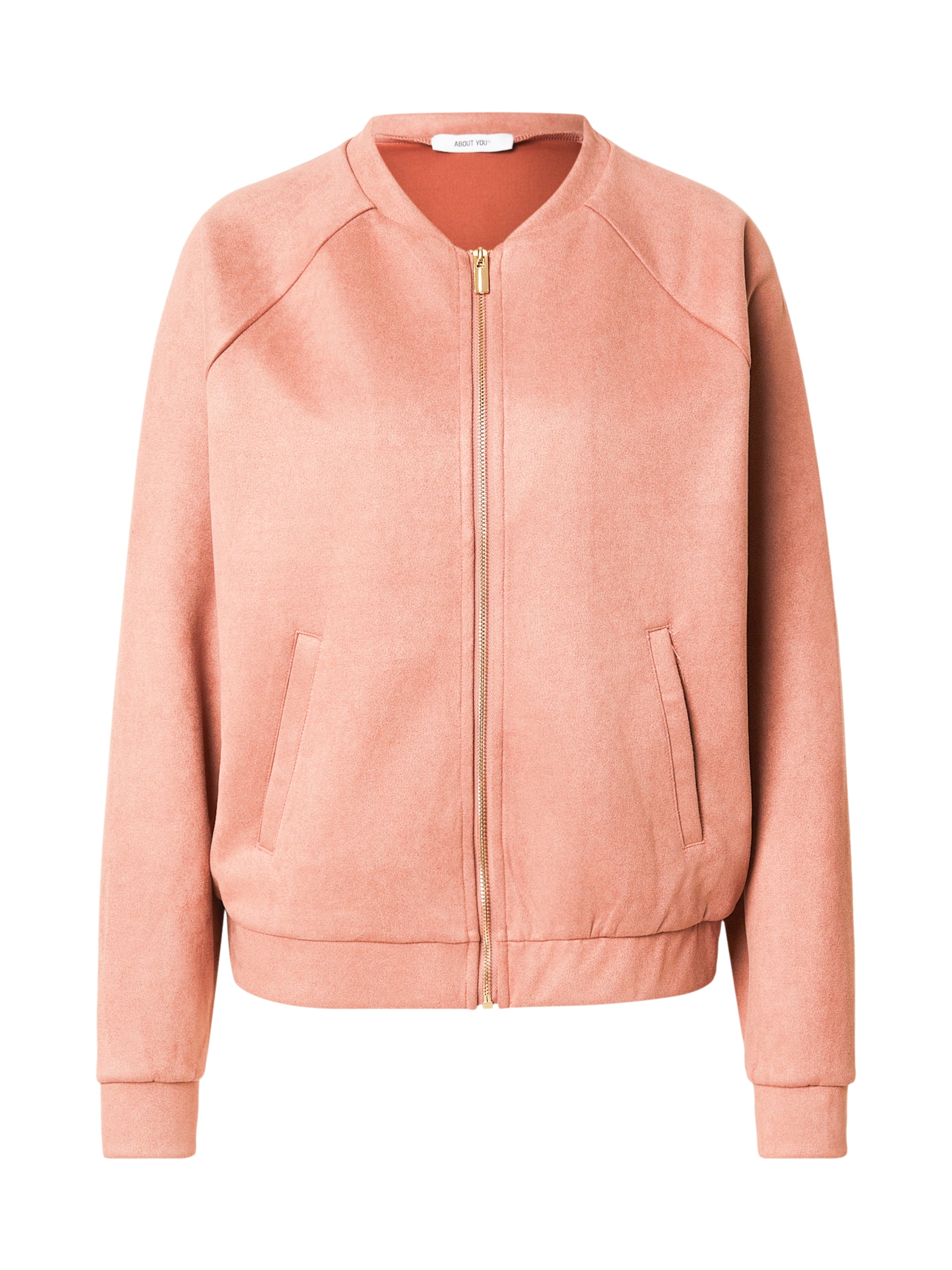 ABOUT YOU Межсезонная куртка 'Alena' в цвете dusky pink
ABOUT YOU Межсезонная куртка 'Alena' в цвете dusky pink