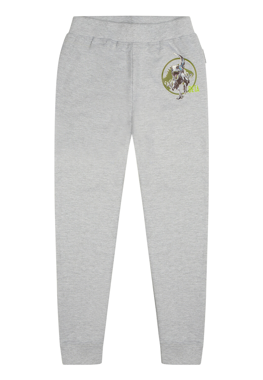 Спортивные брюки ONOMATO! Jogging Jurassic World Beta, серый
Спортивные брюки ONOMATO! Jogging Jurassic World Beta, серый