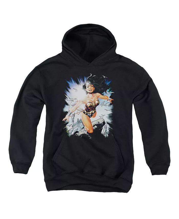 Толстовка с капюшоном Boys of America Youth Of Themyscira Justice League, черный
Толстовка с капюшоном Boys of America Youth Of Themyscira Justice League, черный