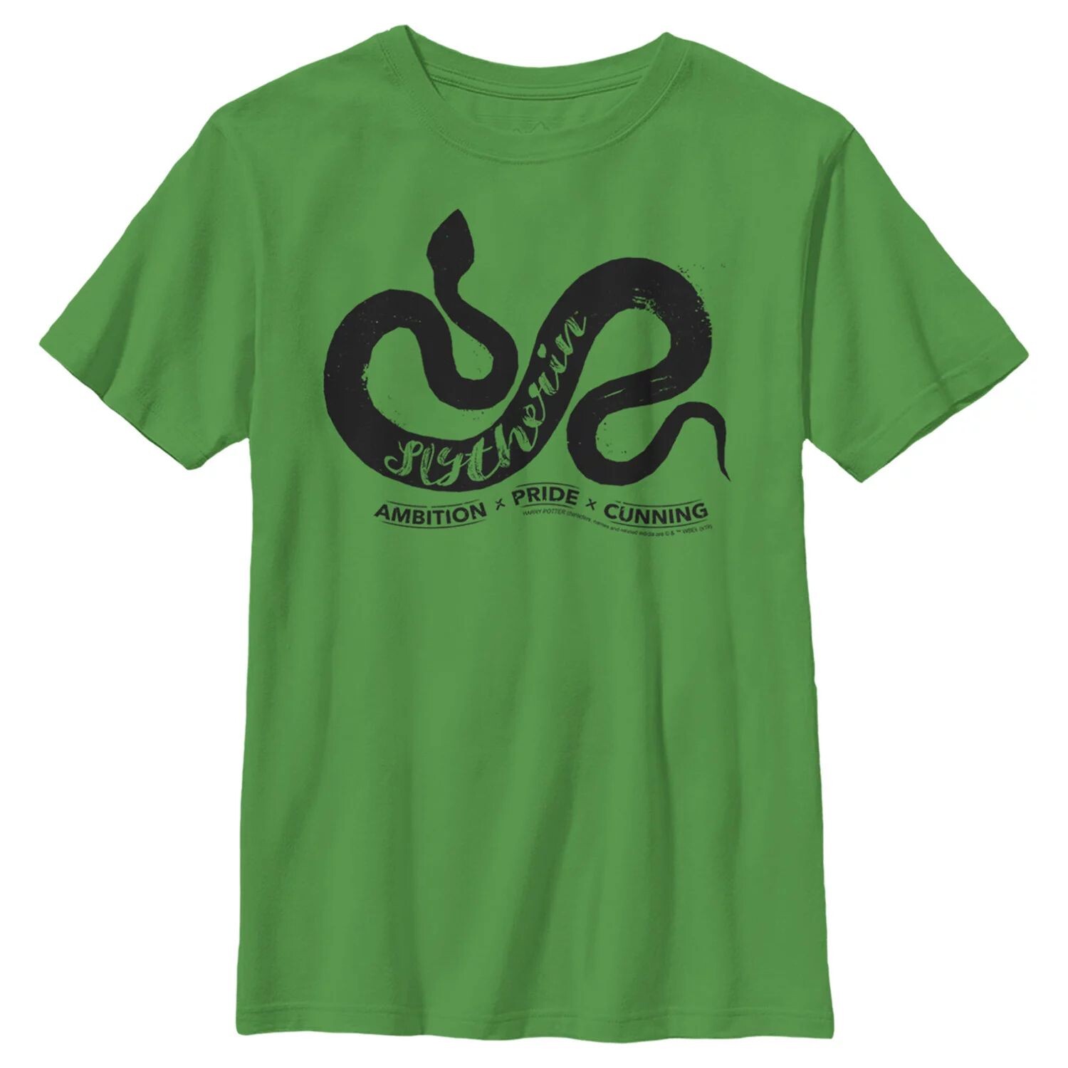 Футболка с рисунком «Harry Potter Ambition Pride» для мальчиков 8–20 лет Harry Potter
Футболка с рисунком «Harry Potter Ambition Pride» для мальчиков 8–20 лет Harry Potter