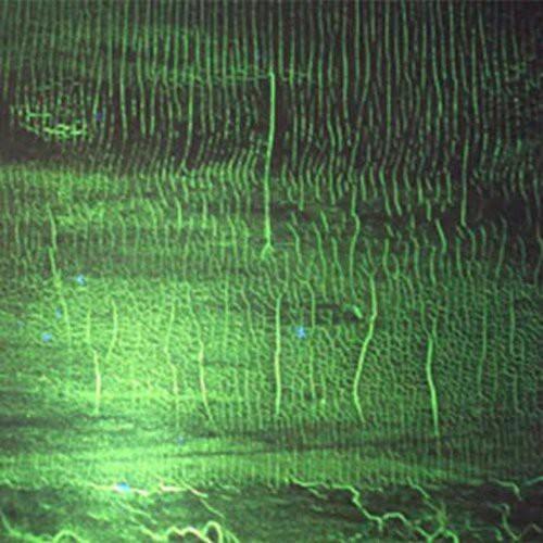 CD диск Dozzy, Donato: K
CD диск Dozzy, Donato: K