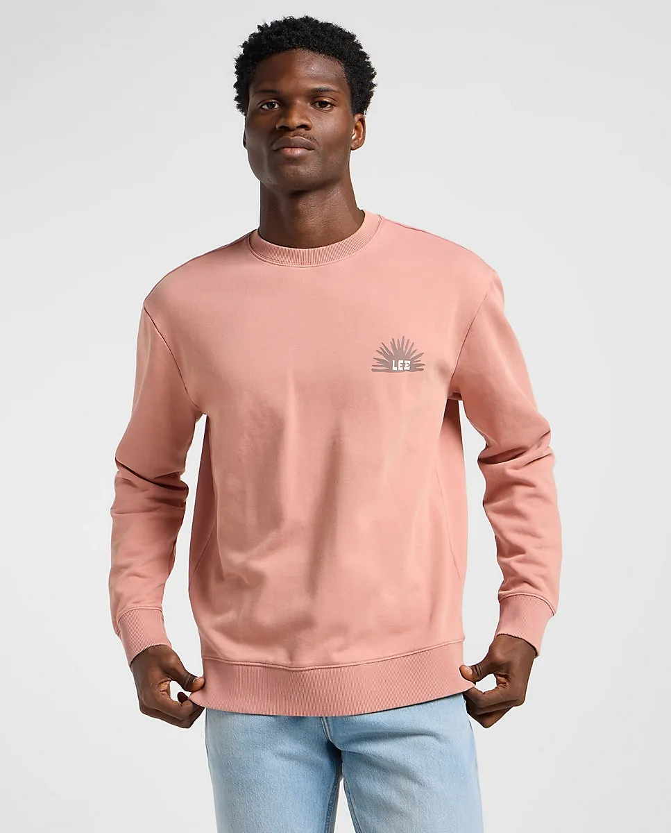 Мужская толстовка розового цвета с принтом на спине Lee, розовый
Мужская толстовка розового цвета с принтом на спине Lee, розовый