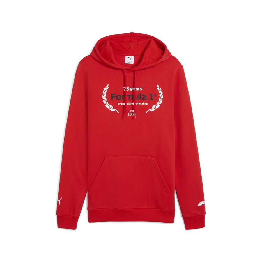 Спортивный свитер PUMA F1 Essentials, красный
Спортивный свитер PUMA F1 Essentials, красный
