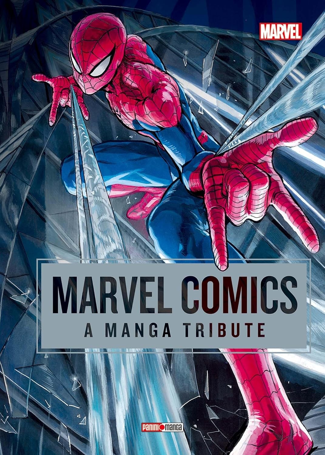 Marvel : A Manga Tribute (PANINI)
Marvel : A Manga Tribute (PANINI)