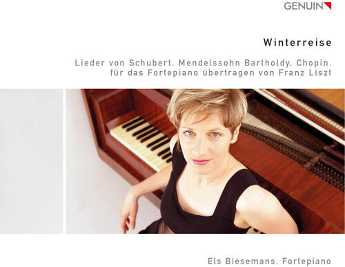 CD диск Liszt / Schubert / Chopin / Biesemans: Winterreise
CD диск Liszt / Schubert / Chopin / Biesemans: Winterreise