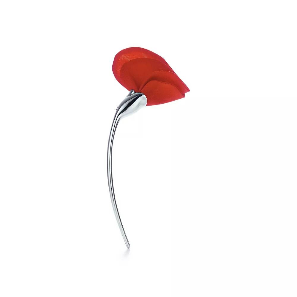 Брошь Tiffany & Co. Amapola, серебро
Брошь Tiffany & Co. Amapola, серебро