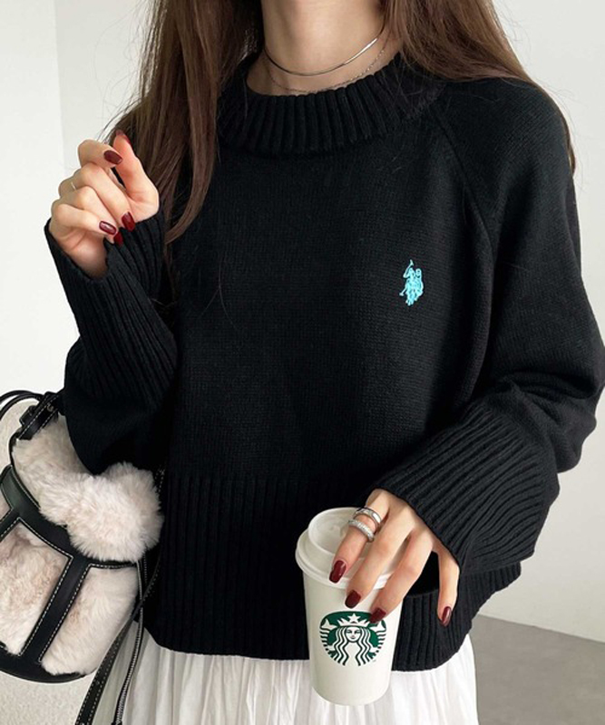 Свитер U.S. Polo Assn. GeeRA, черный
Свитер U.S. Polo Assn. GeeRA, черный