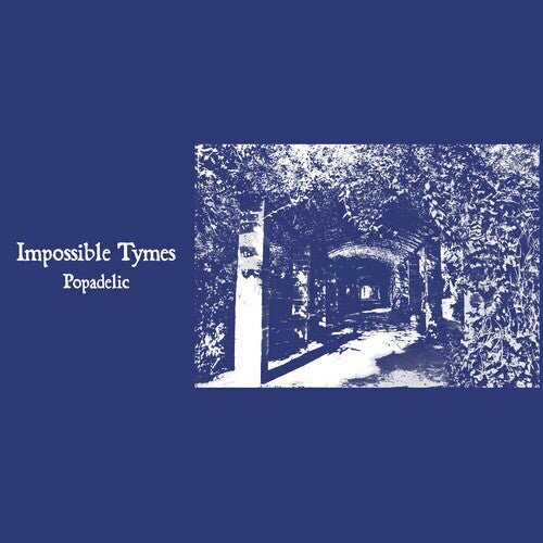 Виниловая пластинка Impossible Tymes - Popadelic
Виниловая пластинка Impossible Tymes - Popadelic
