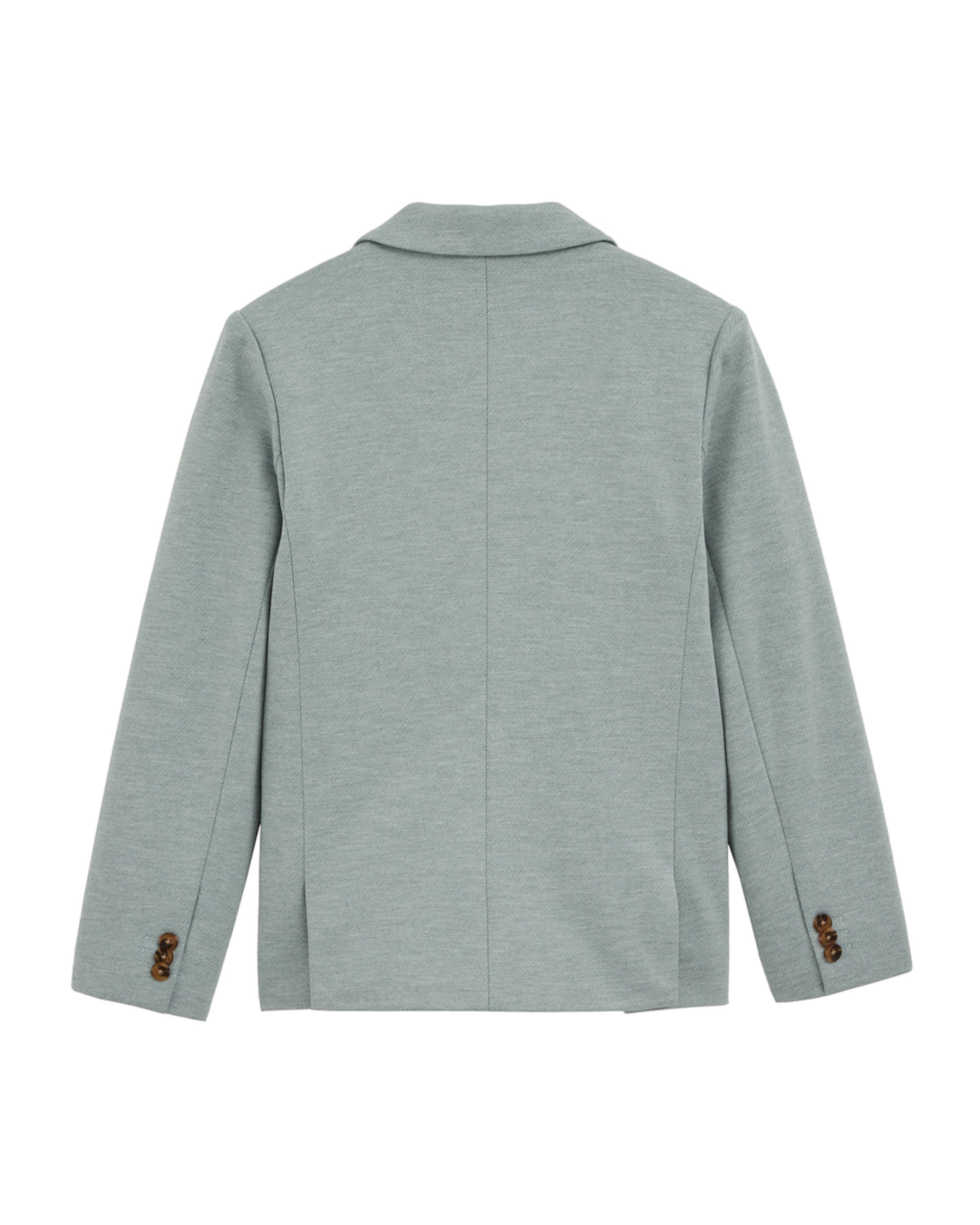 WE Fashion Пиджак в светло-зеленом цвете
WE Fashion Пиджак в светло-зеленом цвете