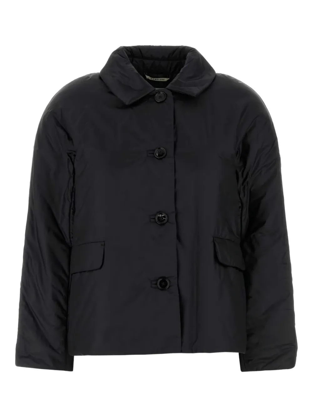 Утепленная куртка Greens с застежкой на пуговицы MAX MARA, черный
Утепленная куртка Greens с застежкой на пуговицы MAX MARA, черный