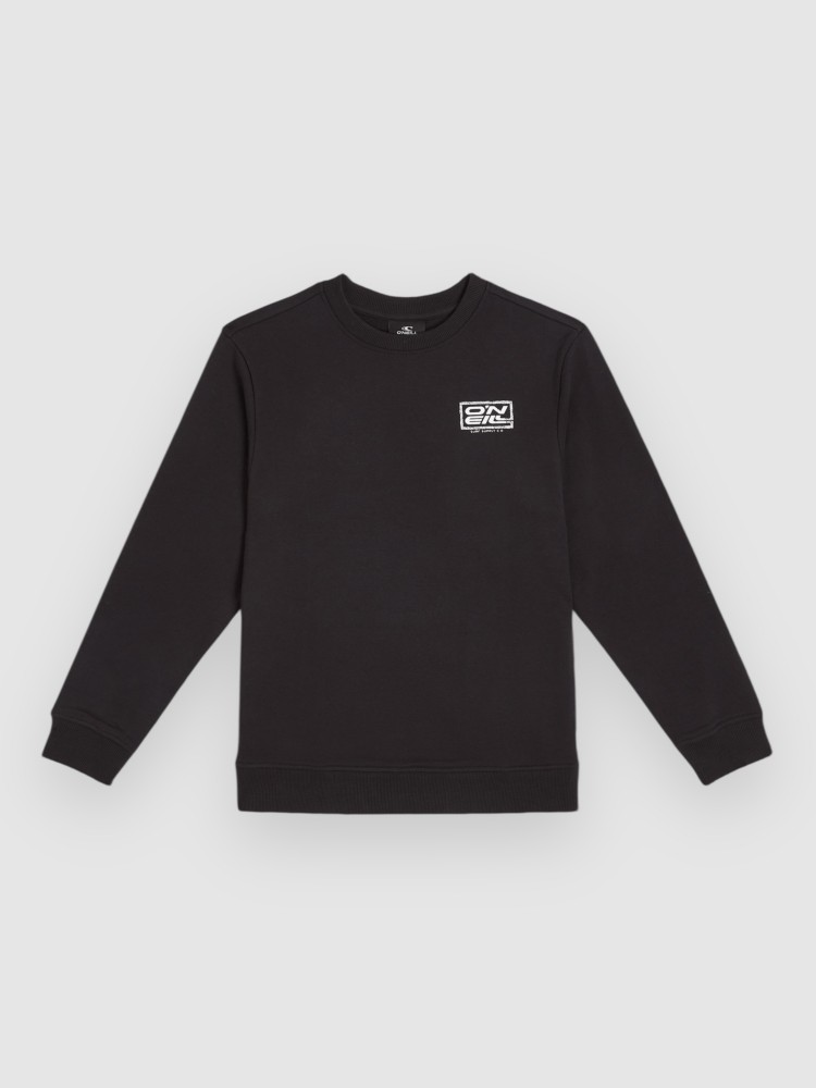 Свитер O'Neill Logo Kids Sweater, black out
Свитер O'Neill Logo Kids Sweater, black out