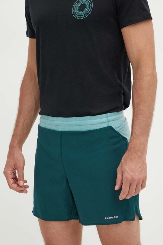 Уличные шорты ZoneKnit Merino Blend Speed Icebreaker, зеленый
Уличные шорты ZoneKnit Merino Blend Speed Icebreaker, зеленый