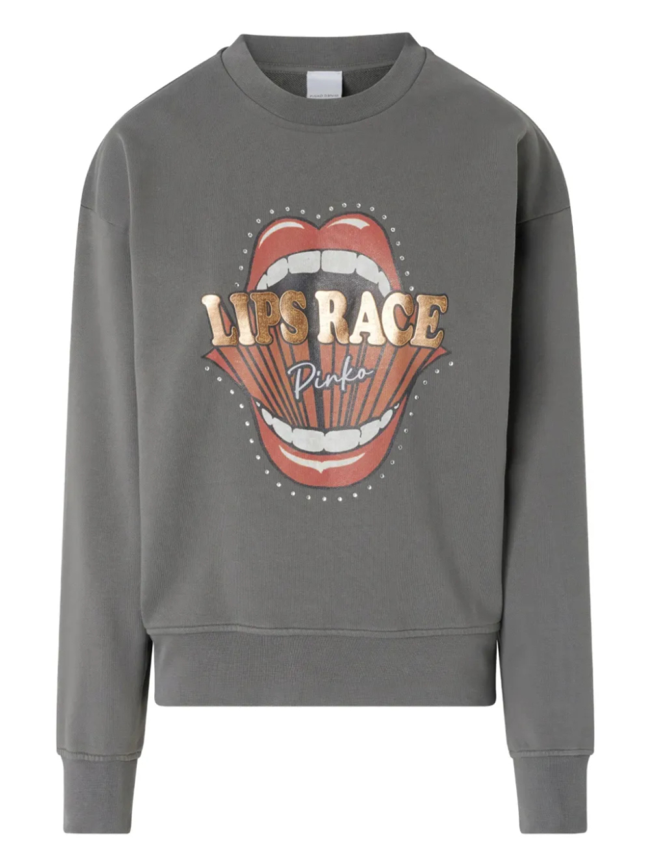 Толстовка с графическим принтом PINKO, серый
Толстовка с графическим принтом PINKO, серый