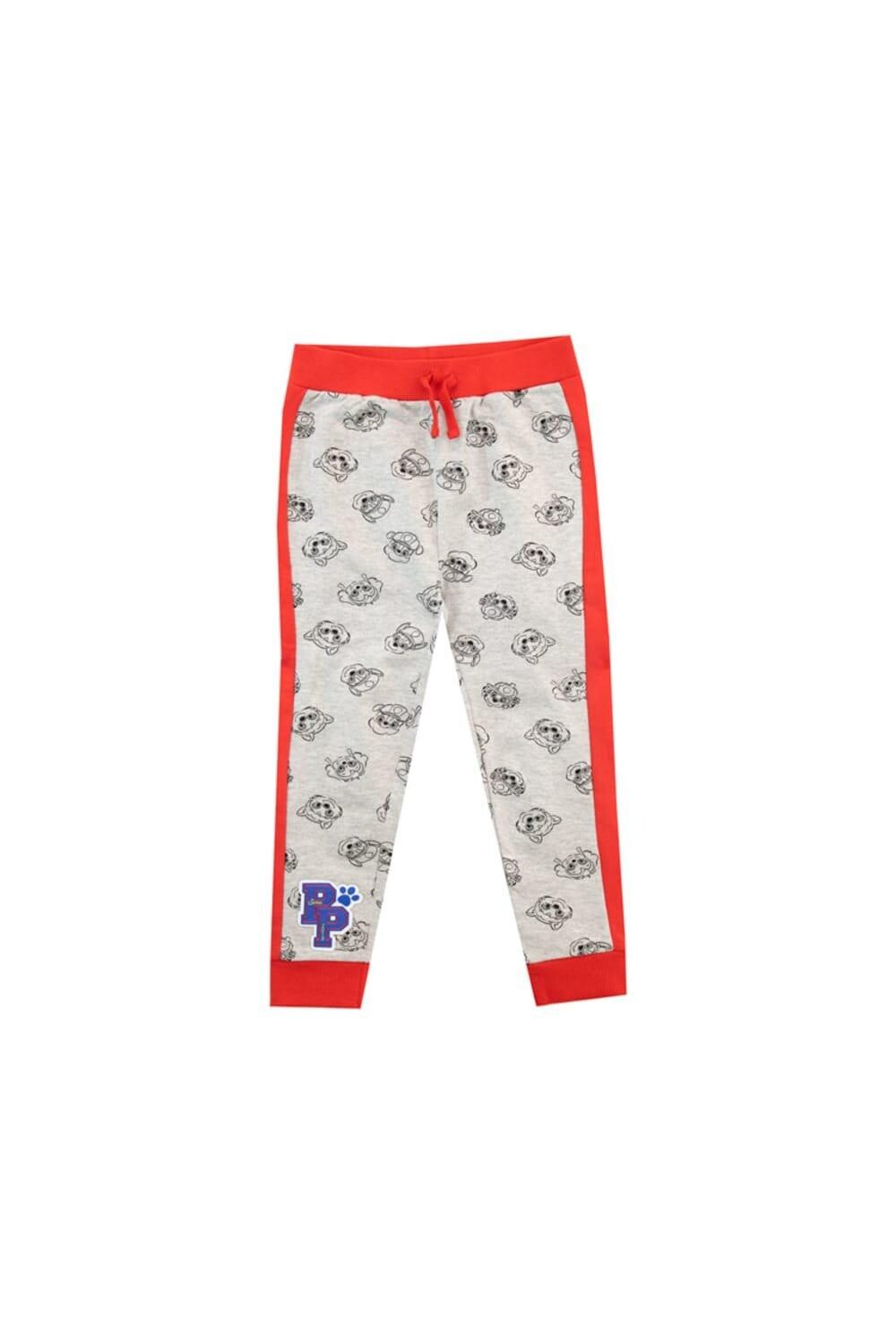 Джоггеры Rubble Skye Everest Marshall и Chase с мотивом Paw Patrol, серый
Джоггеры Rubble Skye Everest Marshall и Chase с мотивом Paw Patrol, серый