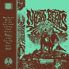 Виниловая пластинка Night Beats - Levitation Sessions
Виниловая пластинка Night Beats - Levitation Sessions