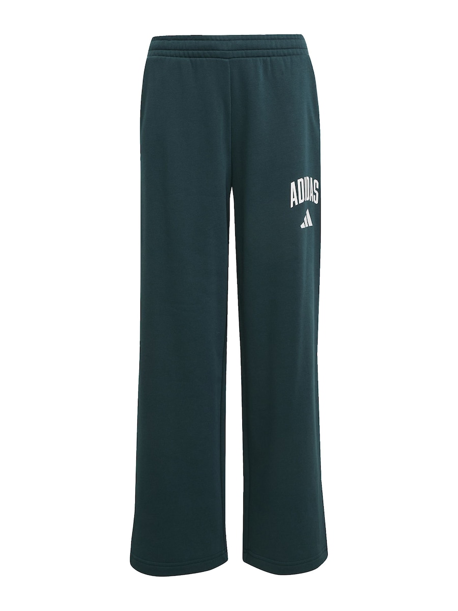 Обычные спортивные штаны ADIDAS SPORTSWEAR, темно-зеленый
Обычные спортивные штаны ADIDAS SPORTSWEAR, темно-зеленый