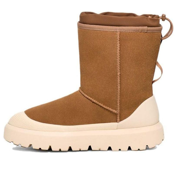 Кроссовки classic short weather hybrid 'chestnut whitecap' Ugg, мультиколор, Белый, Кроссовки classic short weather hybrid 'chestnut whitecap' Ugg, мультиколор
Кроссовки classic short weather hybrid 'chestnut whitecap' Ugg, мультиколор, Белый, Кроссовки classic short weather hybrid 'chestnut whitecap' Ugg, мультиколор