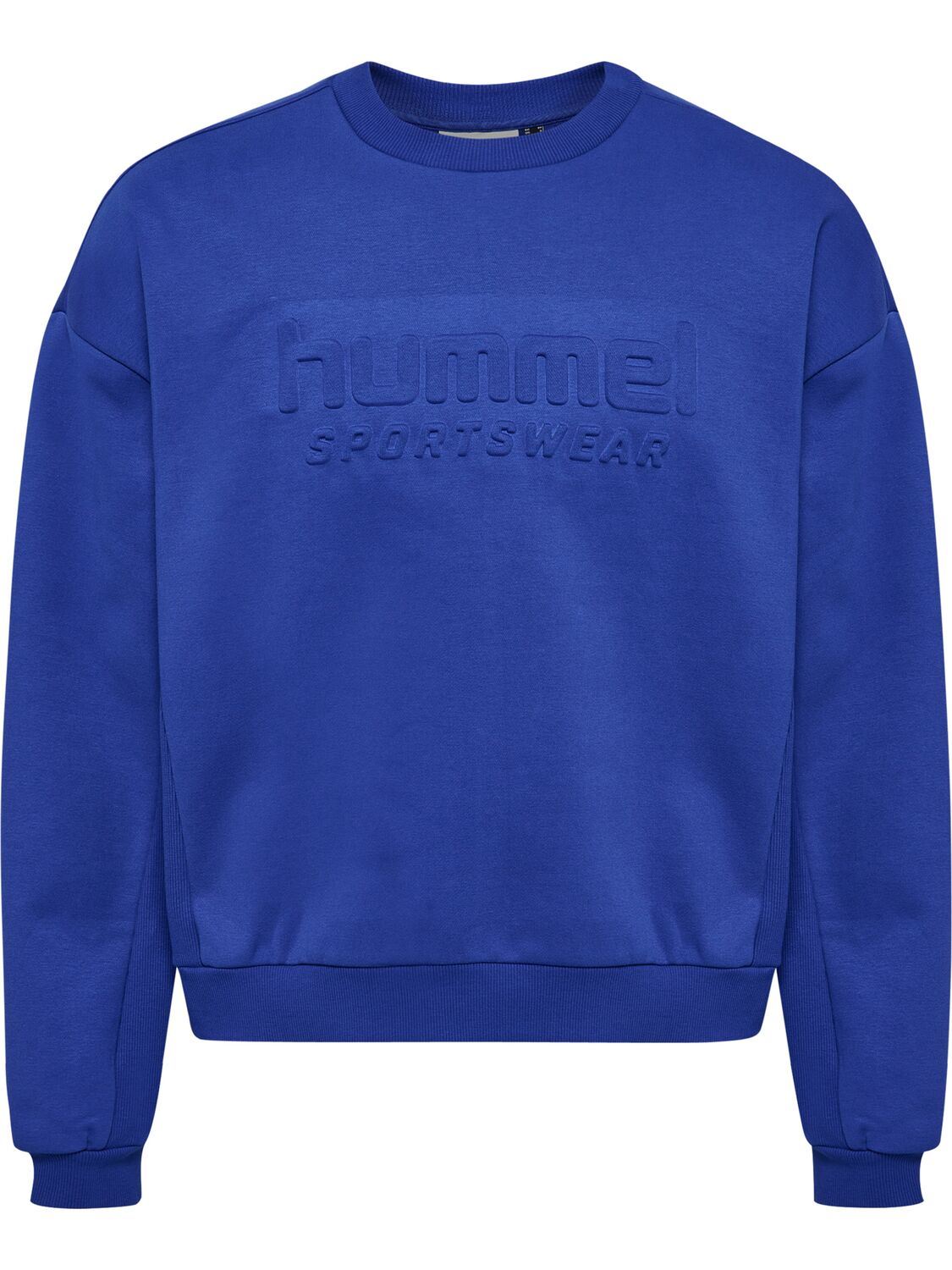 Hummel Спортивный свитер в цвете горечавки
Hummel Спортивный свитер в цвете горечавки