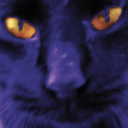 Виниловая пластинка Kilgour, David & the Heavy Eights: Bobbie's A Girl
Виниловая пластинка Kilgour, David & the Heavy Eights: Bobbie's A Girl