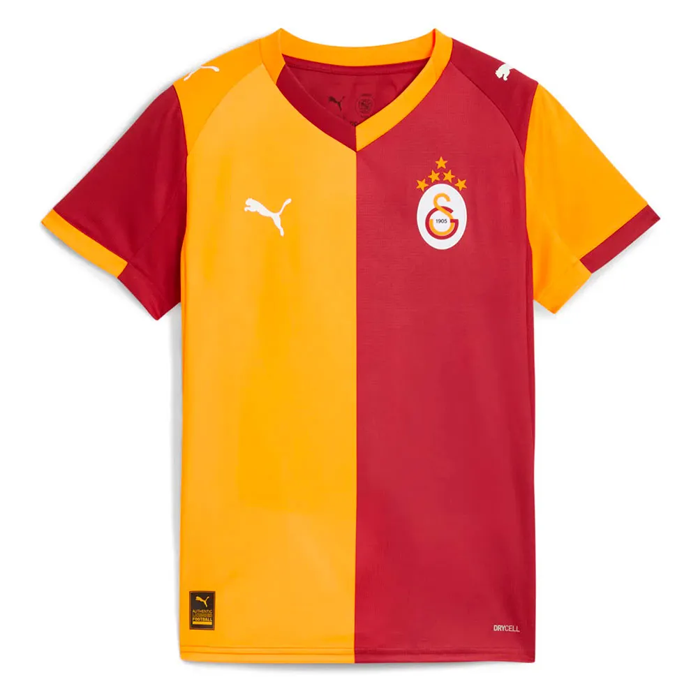 Футболка с коротким рукавом Puma Galatasaray 25/26 Replica home junior, красный
Футболка с коротким рукавом Puma Galatasaray 25/26 Replica home junior, красный