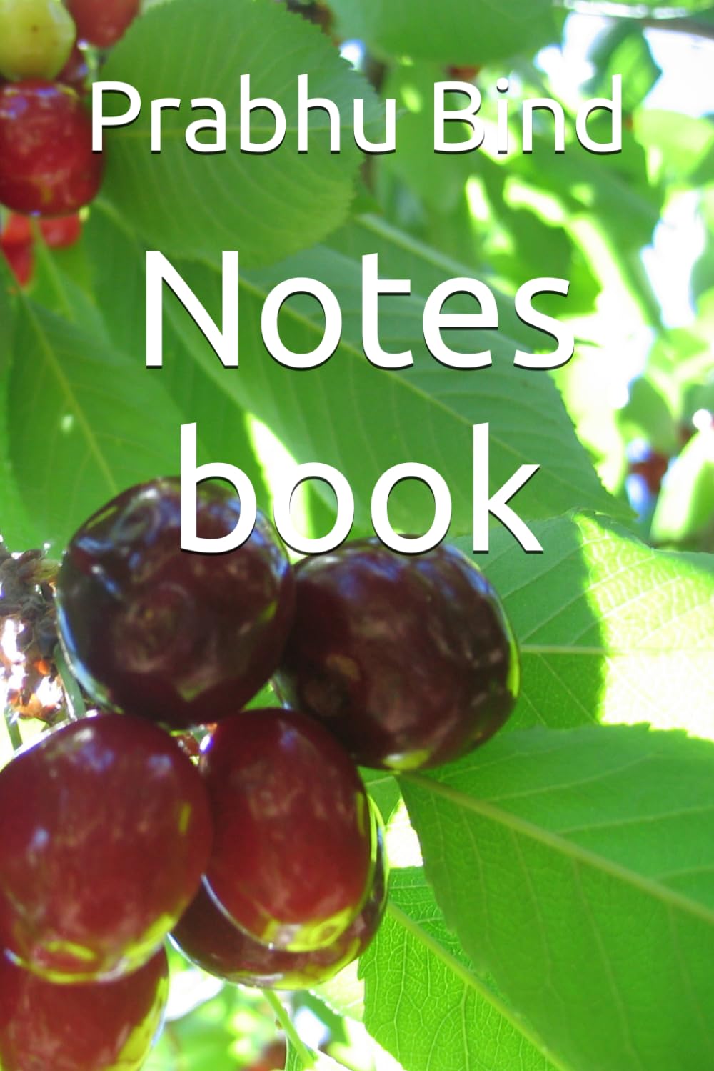 Notes book (Independently published)
Notes book (Independently published)