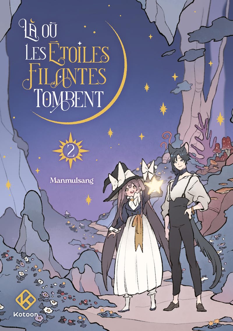 Là où les étoiles filantes tombent - Tome 2
Là où les étoiles filantes tombent - Tome 2