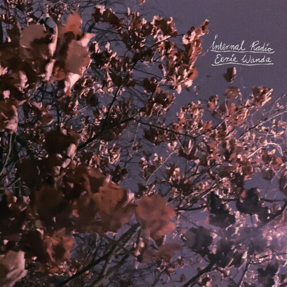Диск CD Internal Radio - Eerie Wanda
Диск CD Internal Radio - Eerie Wanda