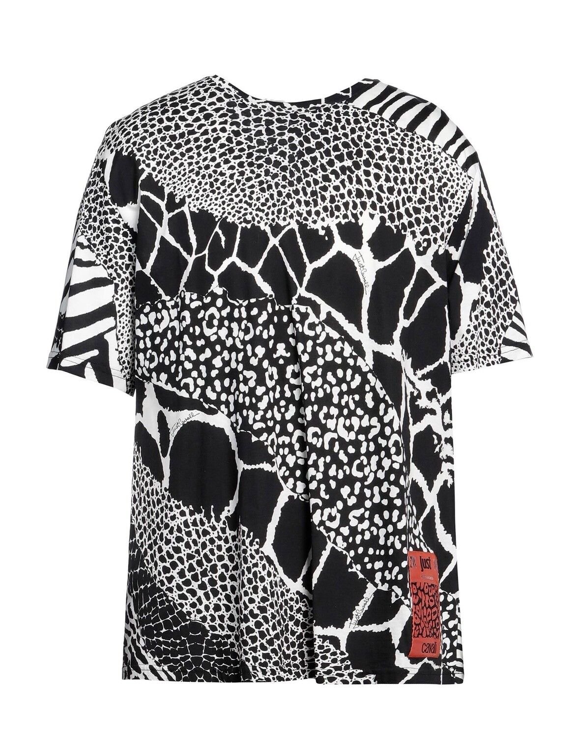 Футболка Roberto Cavalli, черный
Футболка Roberto Cavalli, черный