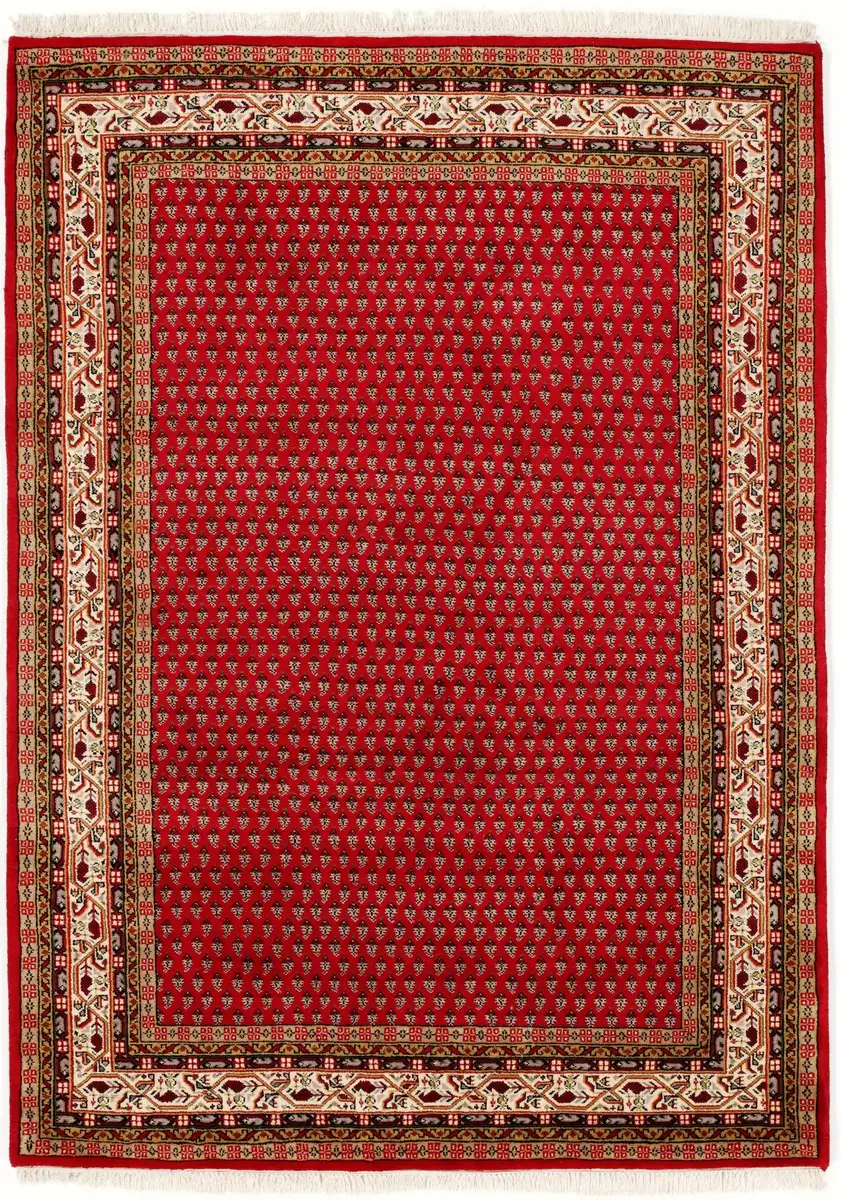 OCI THE CARPET BRAND Восточный ковер "Сакки Мир", прямоугольный, из чистой шерсти, высококачественная ручная работа, с бахромой, гостиная OCI Die Teppichmarke 90х160 см, красный
OCI THE CARPET BRAND Восточный ковер "Сакки Мир", прямоугольный, из чистой шерсти, высококачественная ручная работа, с бахромой, гостиная OCI Die Teppichmarke 90х160 см, красный