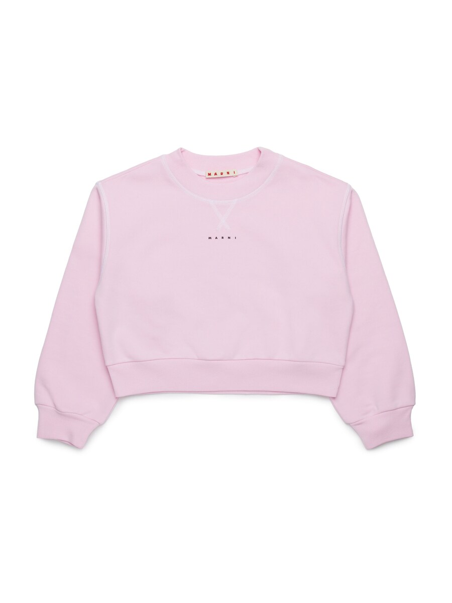 Толстовка Marni, цвет Pastel pink
Толстовка Marni, цвет Pastel pink