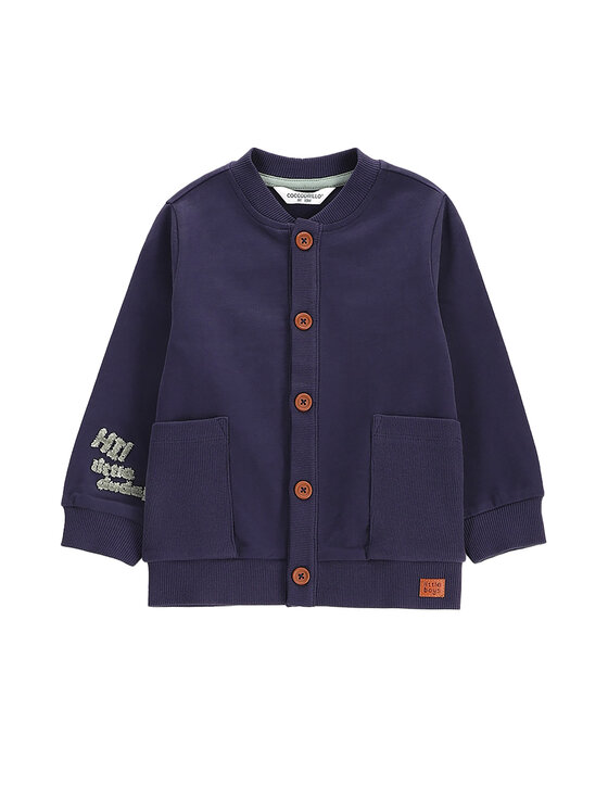 Толстовка обычного кроя WC5132201SBN Coccodrillo, синий
Толстовка обычного кроя WC5132201SBN Coccodrillo, синий