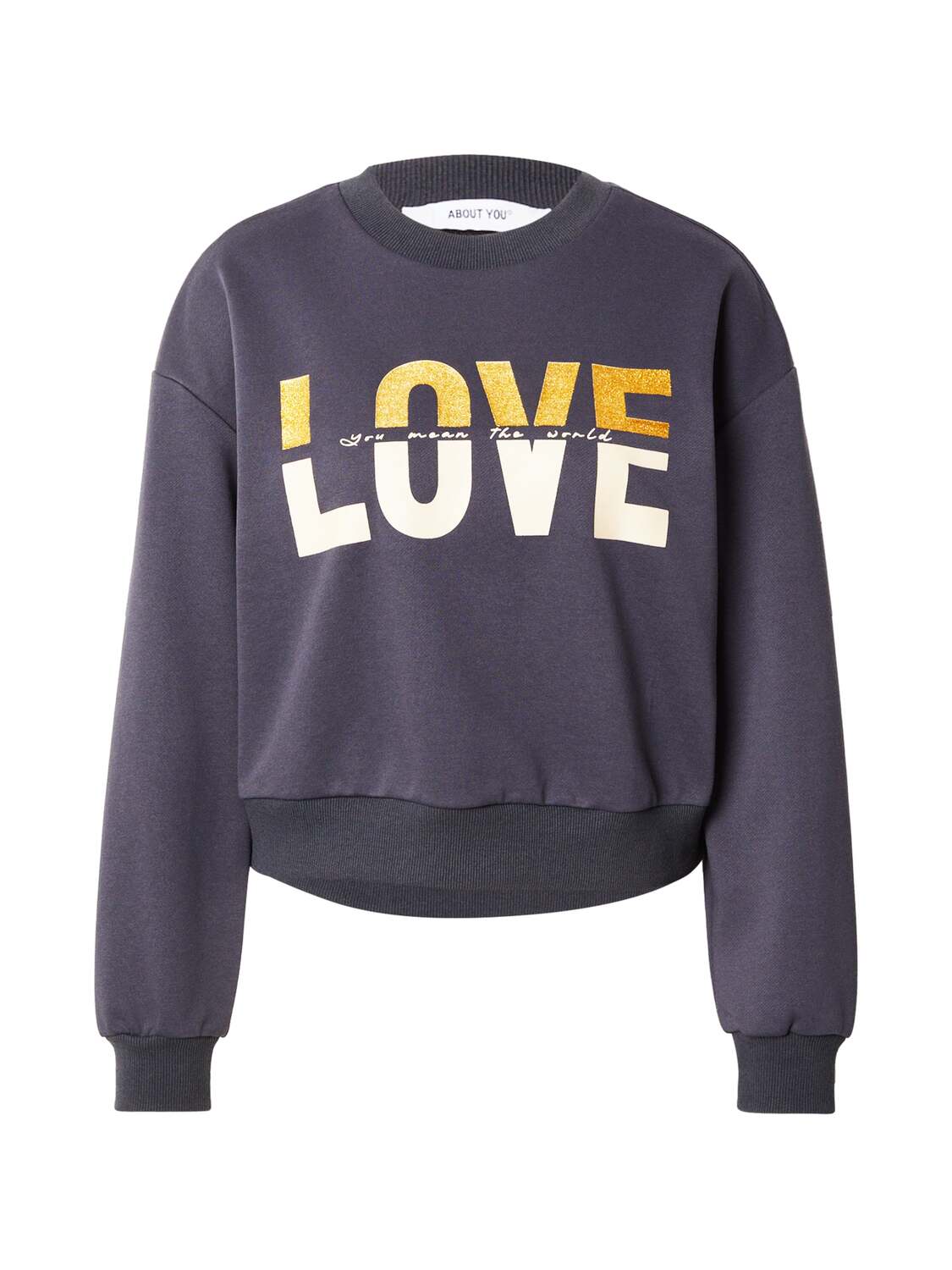 ABOUT YOU Свитшот 'Lacey' в темно-сером цвете
ABOUT YOU Свитшот 'Lacey' в темно-сером цвете