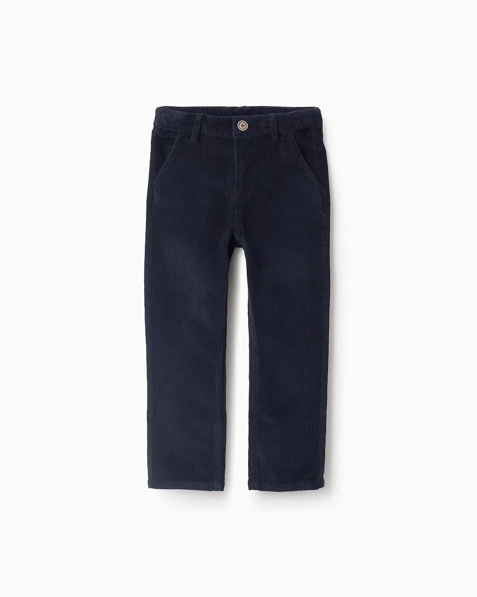 Вельветовые брюки чиносы узкого кроя для мальчиков Zippy, темно-синий
Вельветовые брюки чиносы узкого кроя для мальчиков Zippy, темно-синий