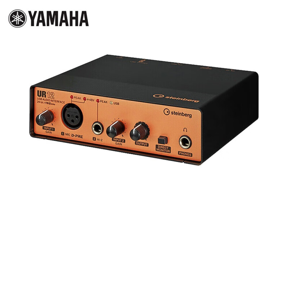 Звуковая карта Yamaha UR12 стандартная комплектация
Звуковая карта Yamaha UR12 стандартная комплектация