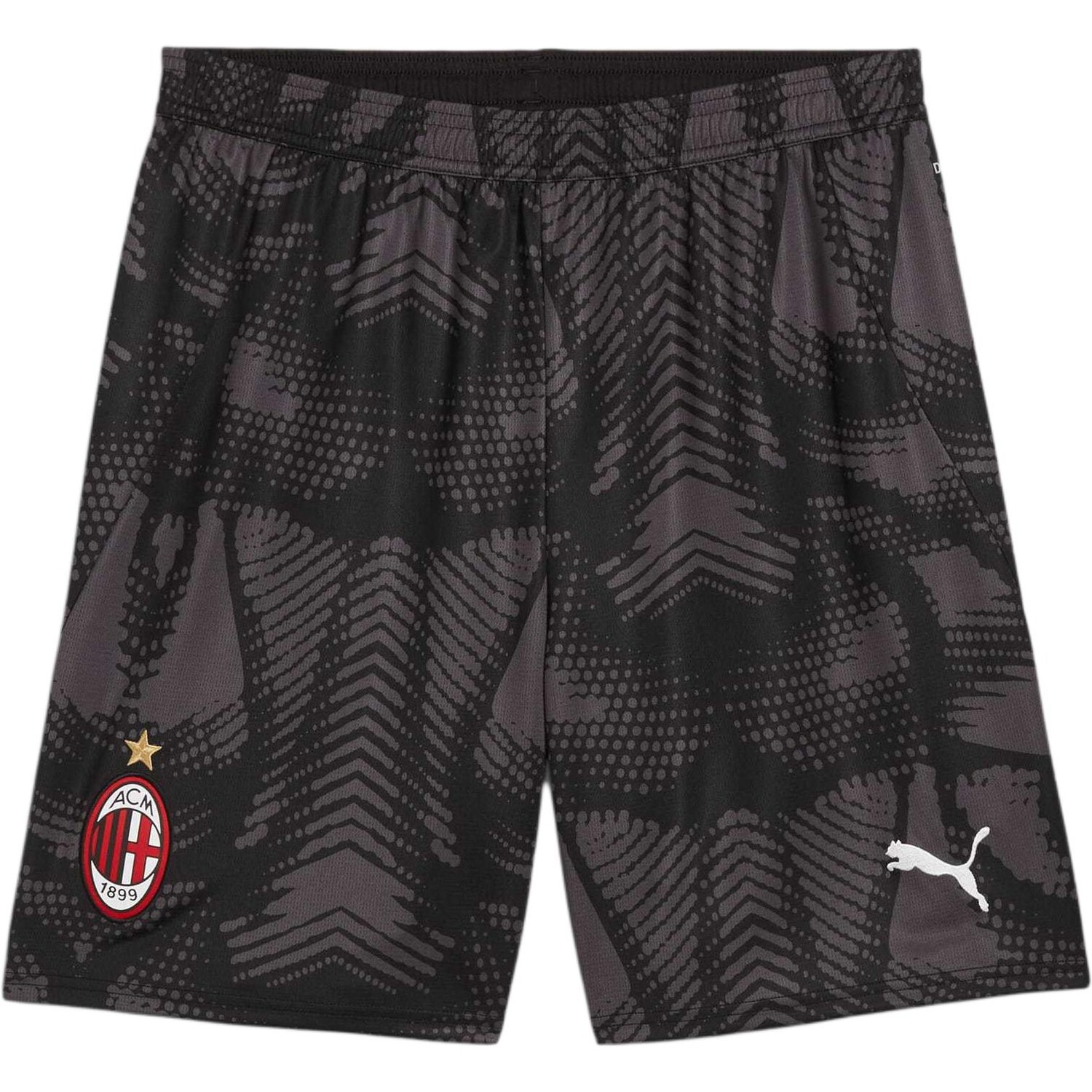 Спортивные шорты AC Milan мужские черные Puma, черный
Спортивные шорты AC Milan мужские черные Puma, черный