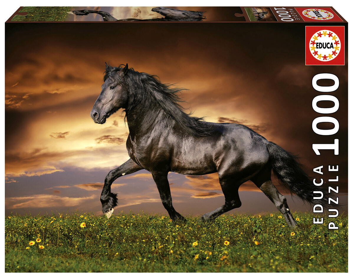 Educa, Пазл, Рысистая лошадь, 1000 шт.
Educa, Пазл, Рысистая лошадь, 1000 шт.