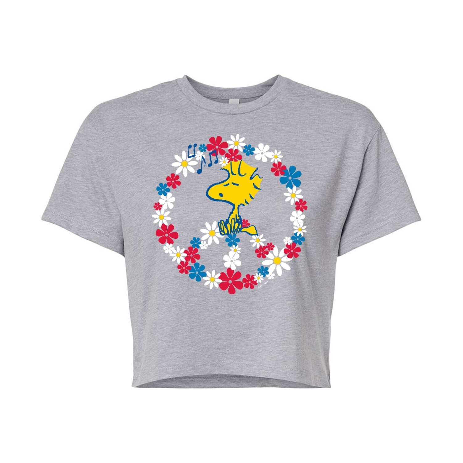 Укороченная футболка с рисунком Peanuts Peace Americana для юниоров Licensed Character, серый
Укороченная футболка с рисунком Peanuts Peace Americana для юниоров Licensed Character, серый