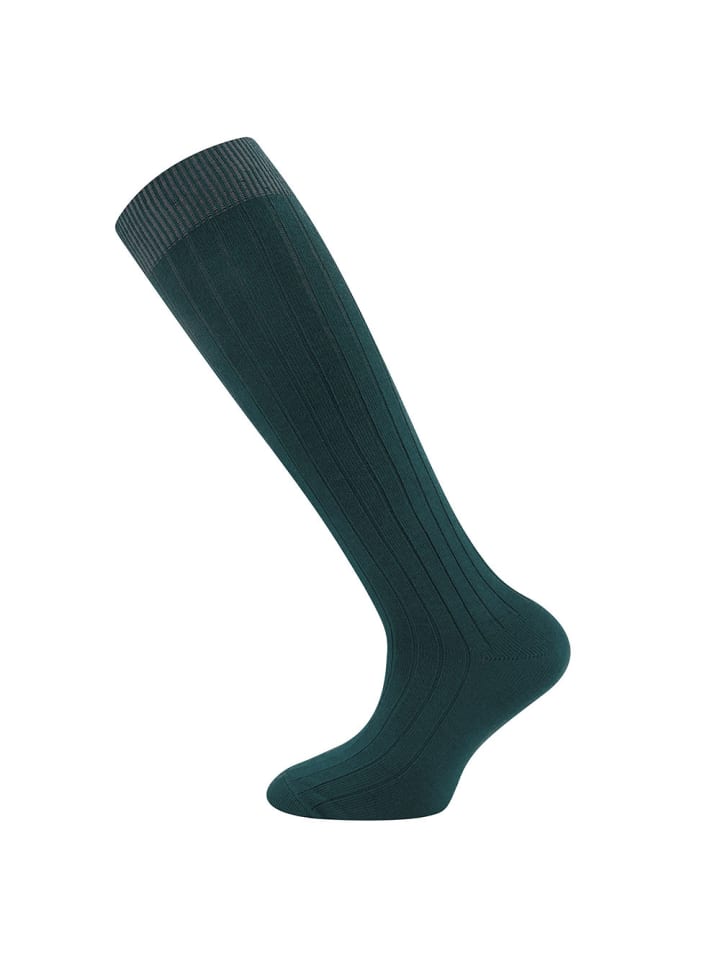 Носки ewers
Носки ewers